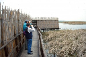birdwatchers