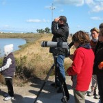 EUROBIRDWATCH 2008 093