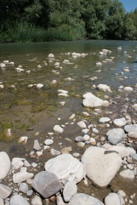 habitat tipico della Lontra con un escremento per marcare il territorio