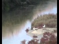 video EBW 2010 su youtube