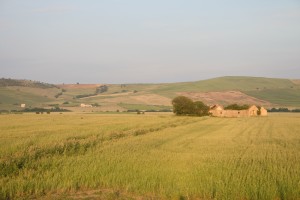 campagne Capitanata - ph LIPU Fg