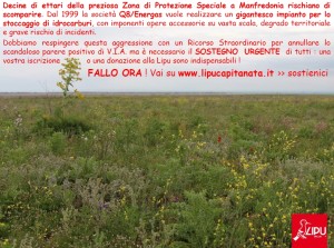 appello contro Energas