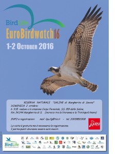 poster EBW 2016 + testo