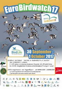 poster EBW 2017