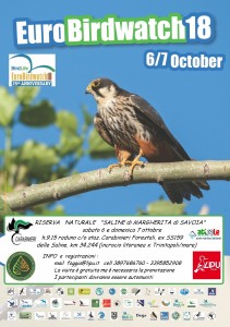 poster-ebw-2018-saline-def