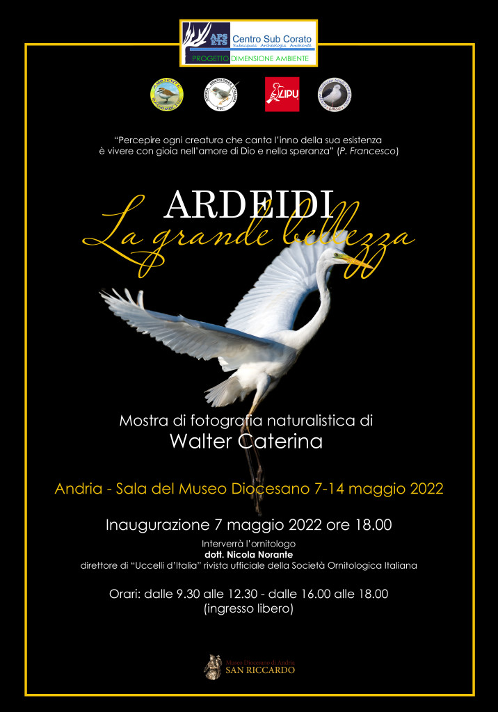 Manifesto la grande bellezza -museo diocesano di Andria