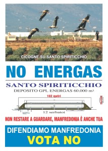 manifesto Cicogne NoEnergas